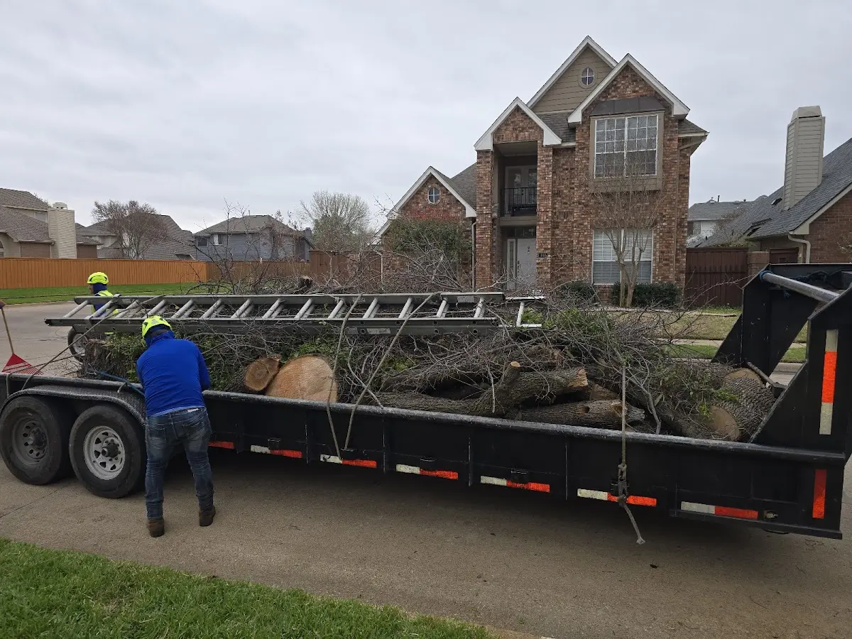 Expert Tree Removal with proper safety equipment in Stevinson